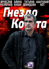 Гнездо Кочета (фильм 2013)